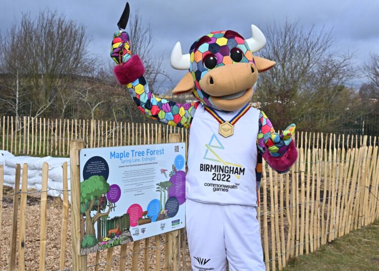 2022 Commonwealth Games: Commonwealth Esports Championships set for Birmingham