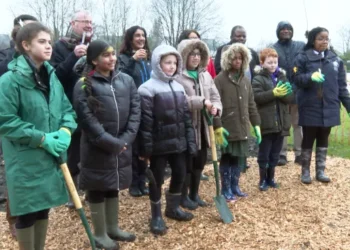 Birmingham 2022: Tiny Forests to leave lasting legacy post Commonwealth Games at schools across the West Midlands